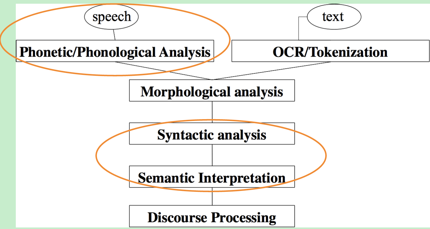 NLP levels